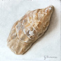 Oester